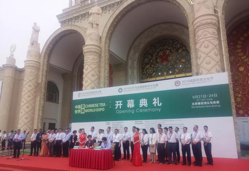 “兩展一節(jié)”助力涇陽(yáng)茯茶閃耀古都六月